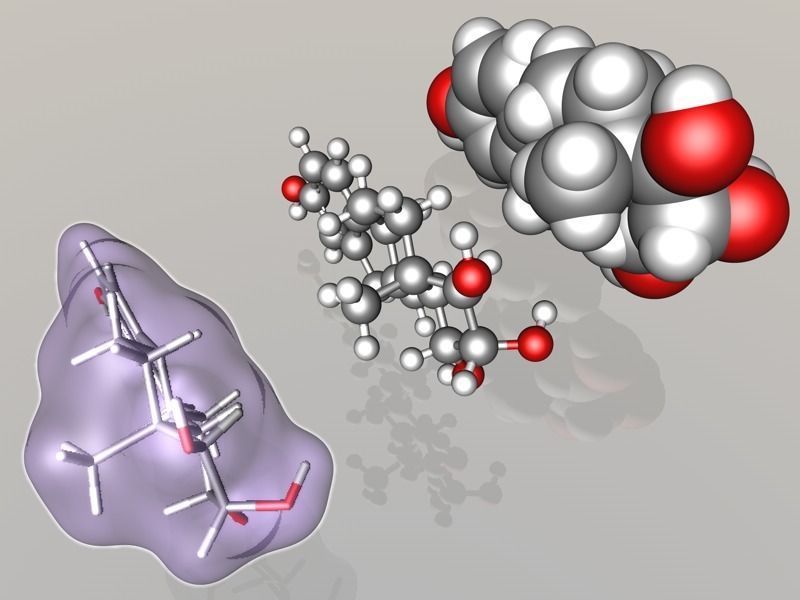 Estetrol molecule 3D model_4