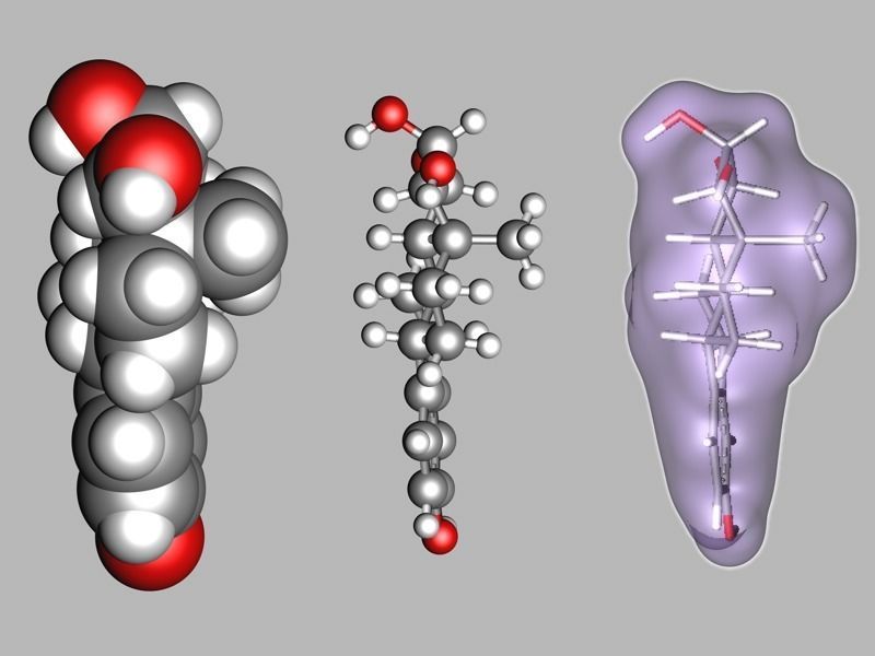 Estetrol molecule 3D model_5