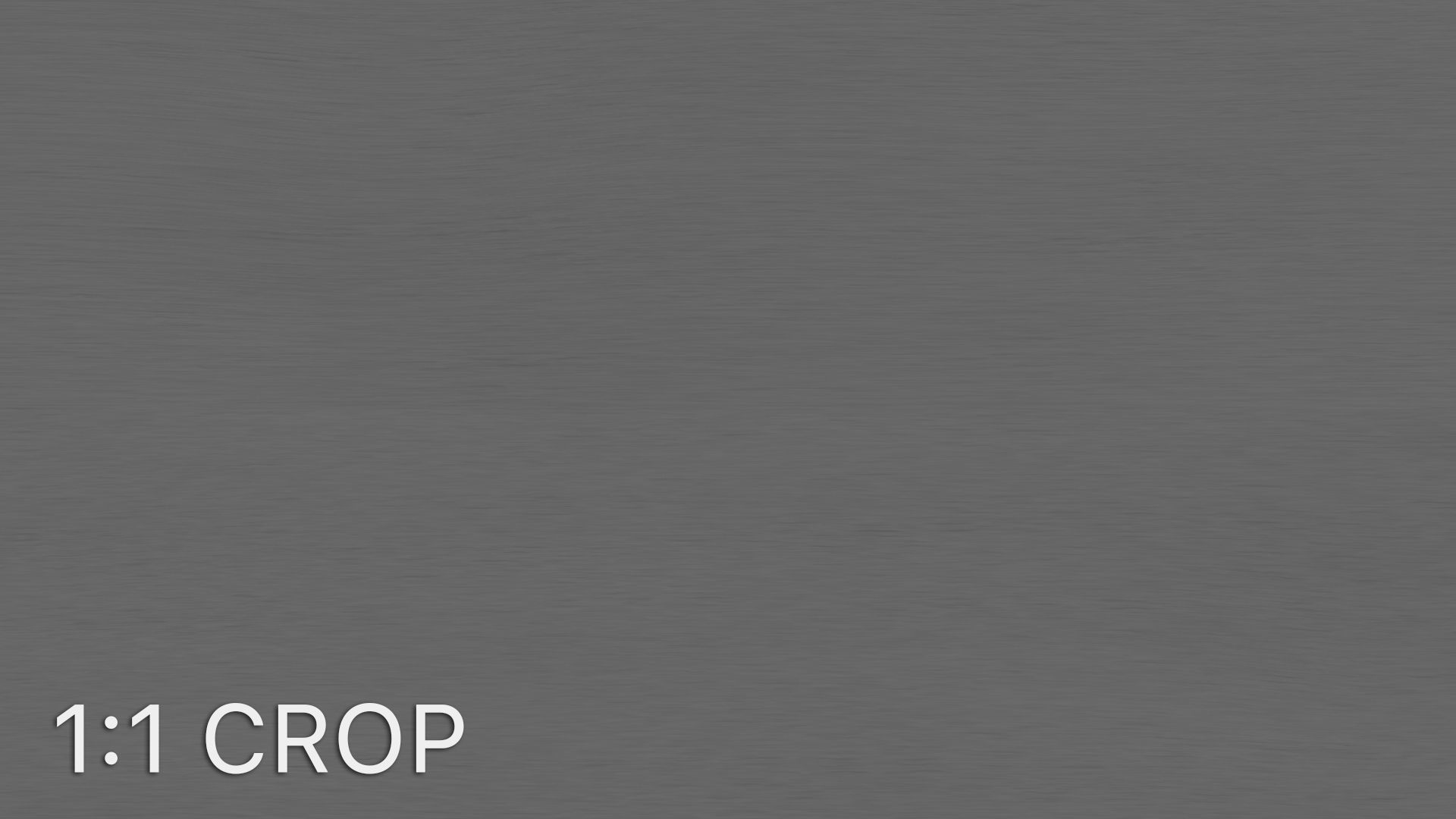 Maple wood veneer texture Texture_12