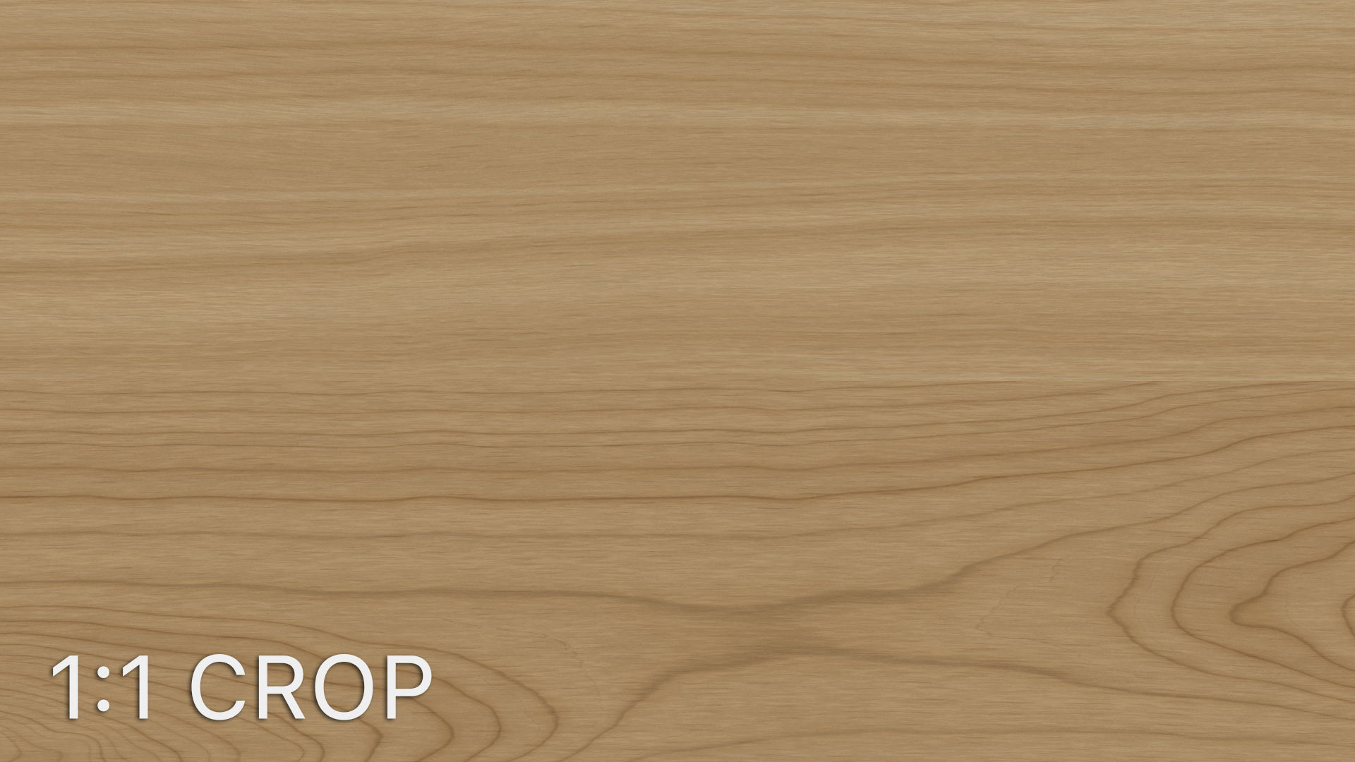 Maple wood veneer texture Texture_9