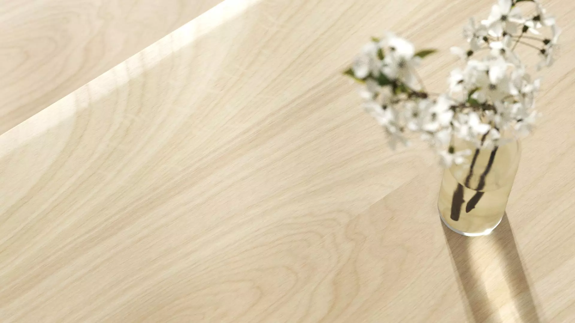 Birch wood veneer texture Texture