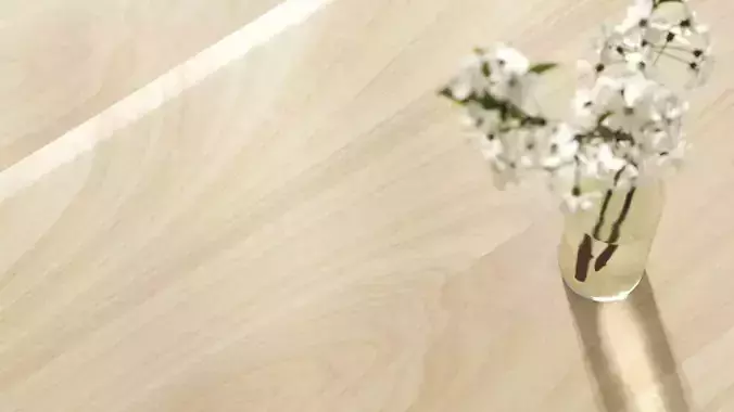 Birch wood veneer texture