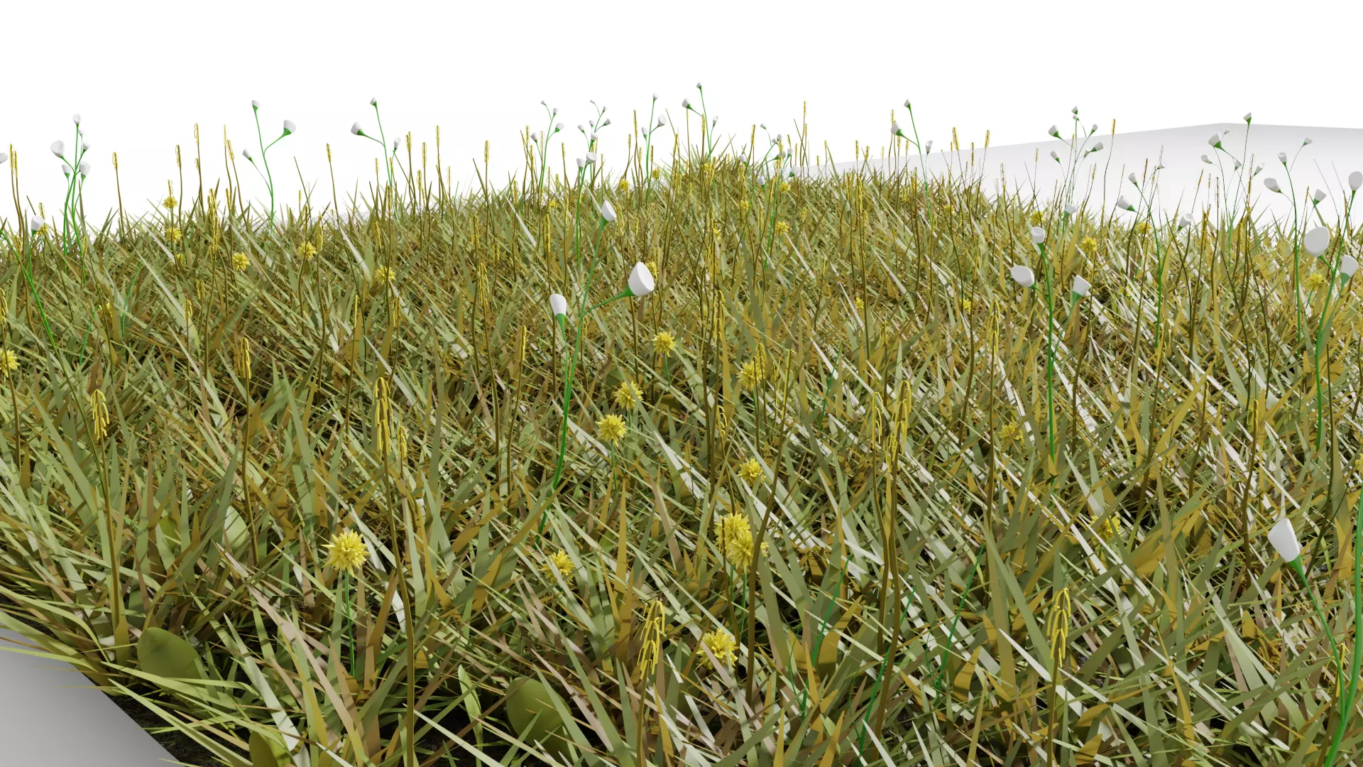 Grass 3D model_0