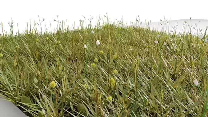 Grass 3D model