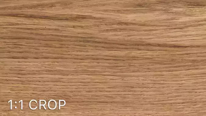 Oak wood veneer texture Texture