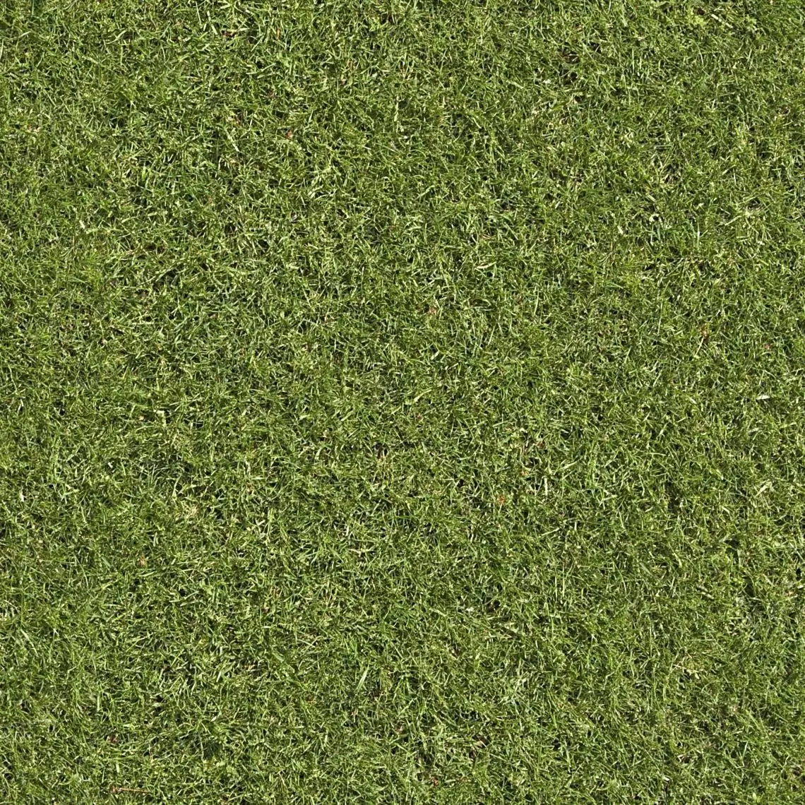 Environment Texture Free 3D model_0