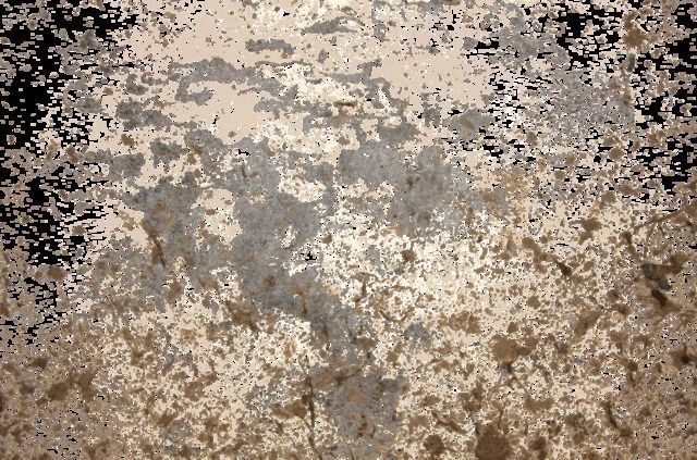 Environment Texture Free 3D model_5