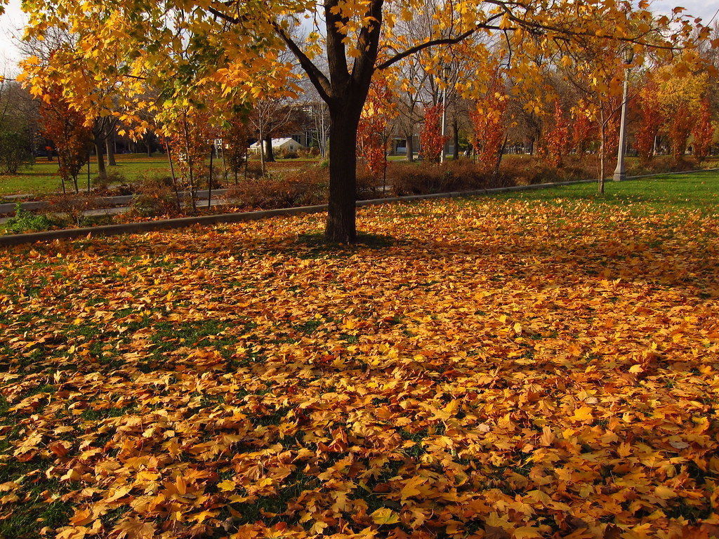 Environment Texture Free 3D model_8