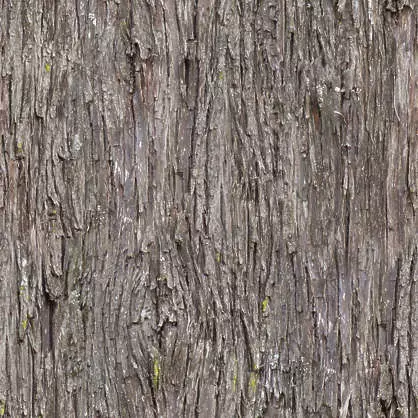 cement bark of tree Free 3D model_0