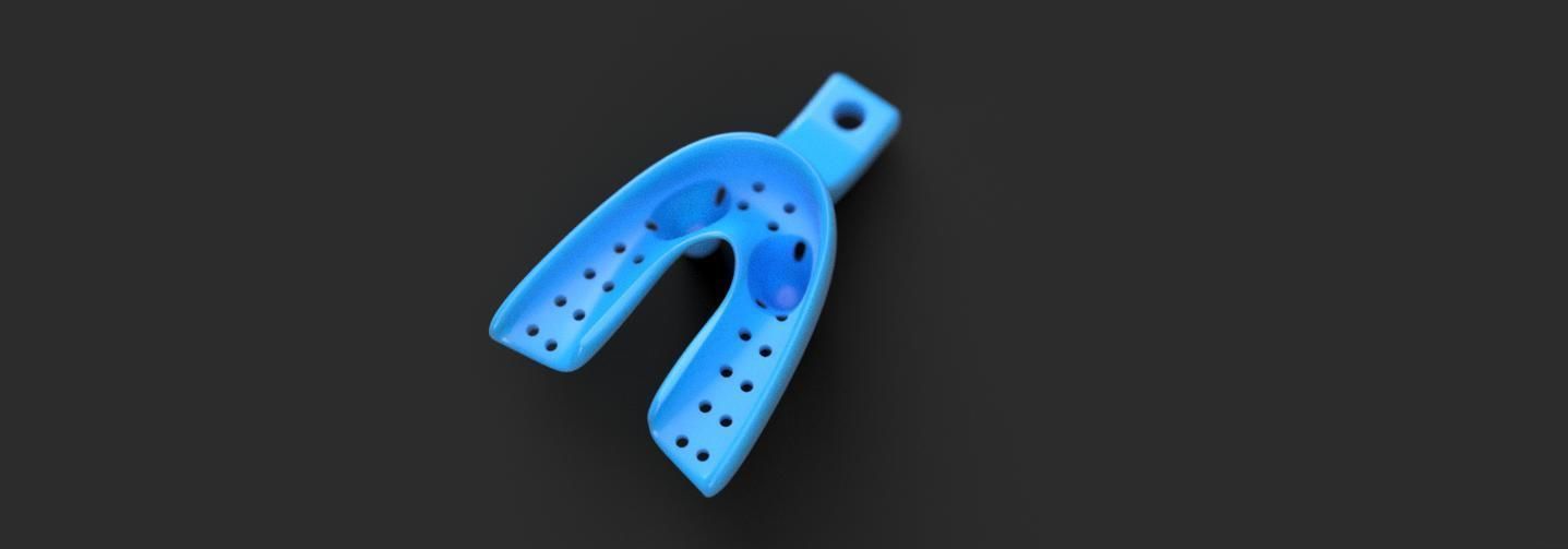 Dental Impression Tray For Dogs Lower arch 3D print model 3D print model_4