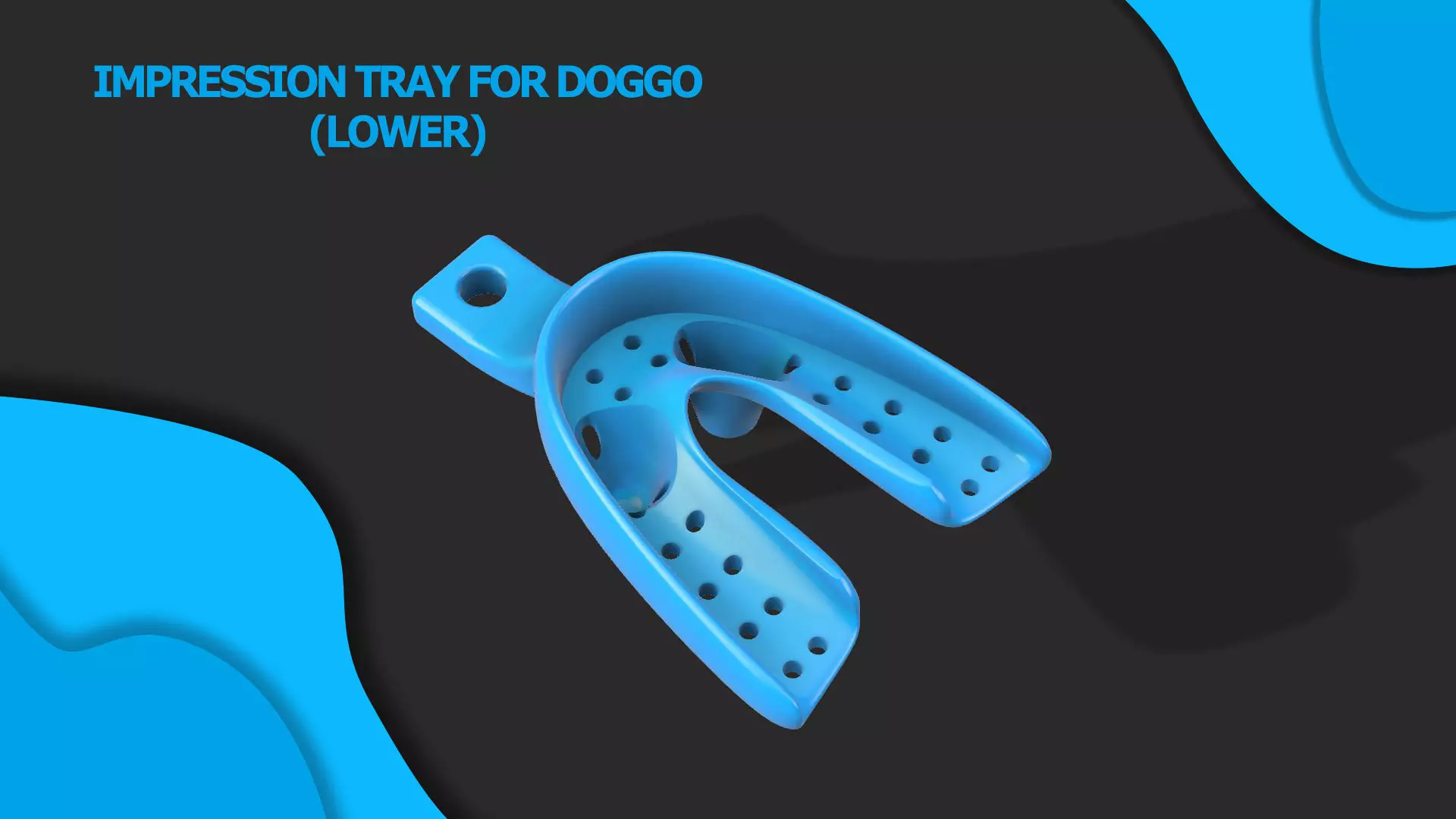 Dental Impression Tray For Dogs Lower arch 3D print model 3D print model_0