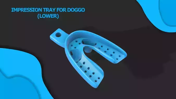 Dental Impression Tray For Dogs Lower arch 3D print model 3D print model