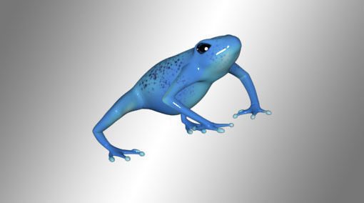 Forrest Frog Free 3D model_1