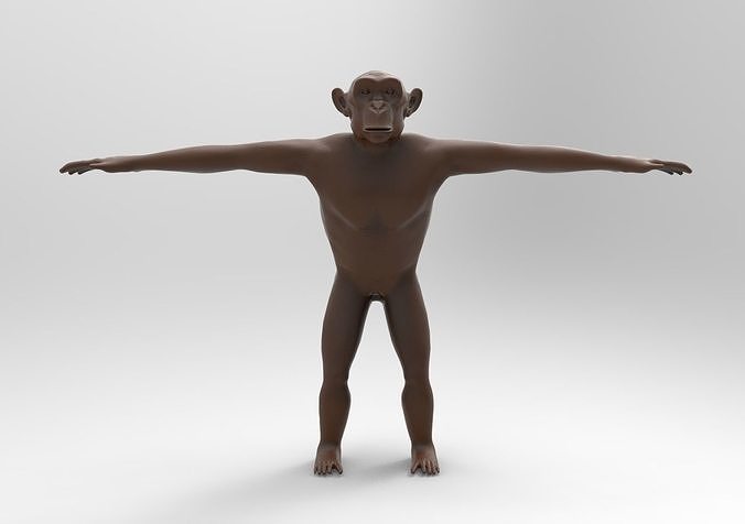 chimpanzees chimpanzee 3D print model