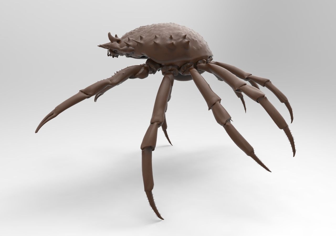 crab mod1 3D print model_1