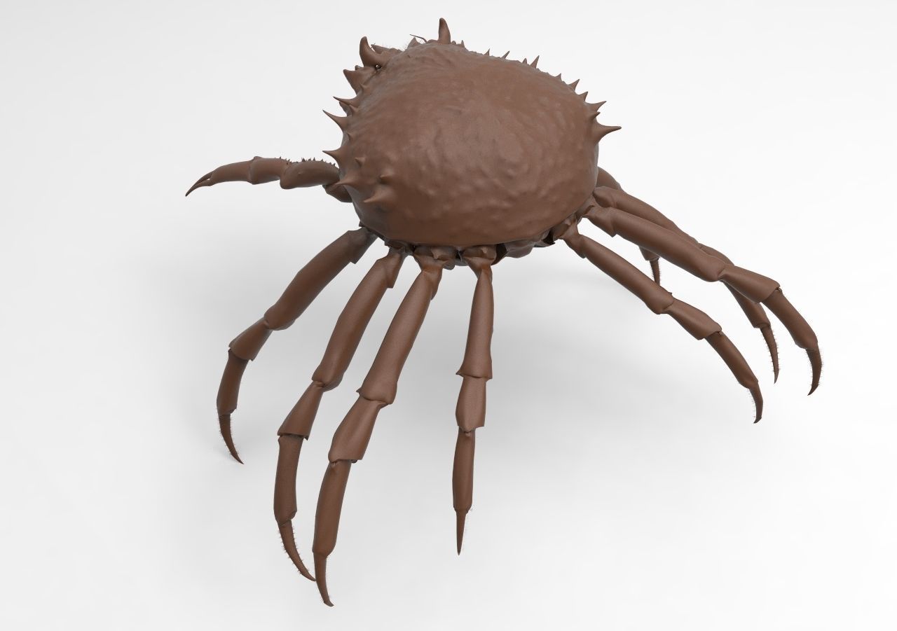 crab mod1 3D print model_3