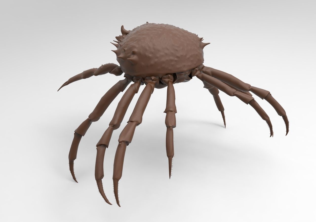 crab mod1 3D print model_2