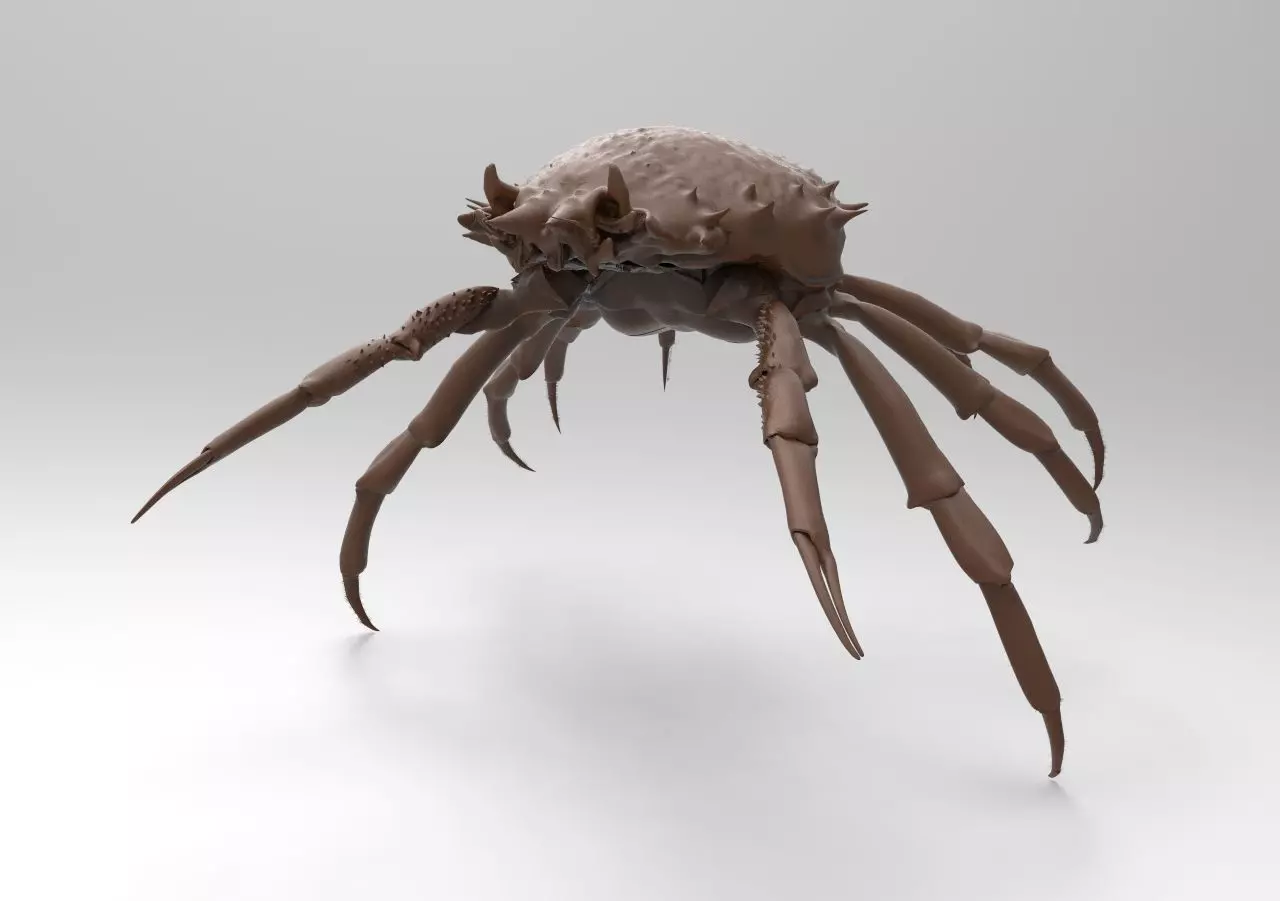 crab mod1 3D print model_0