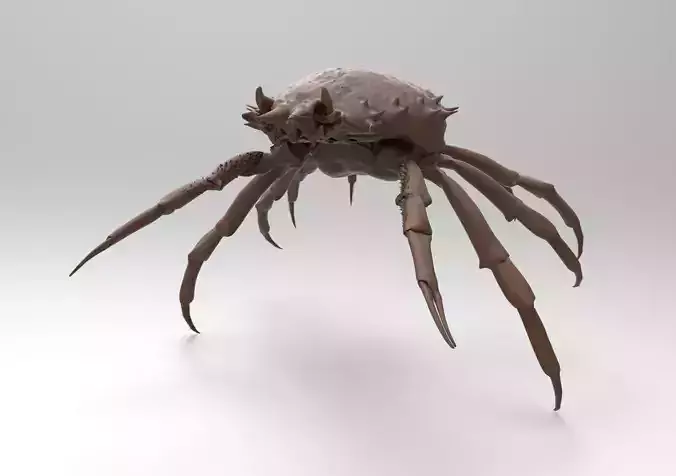 crab mod1