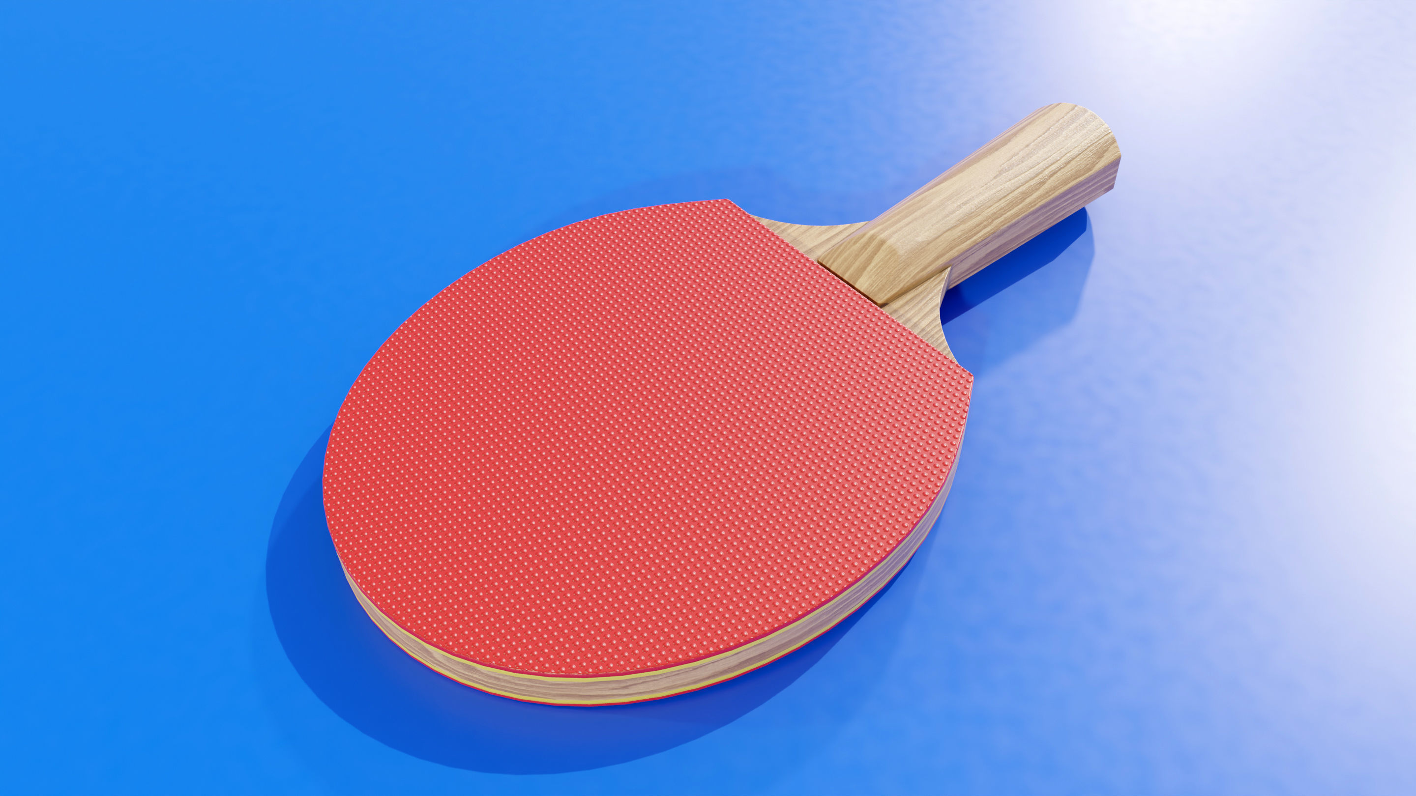 Ping Pong Table 3D model_7