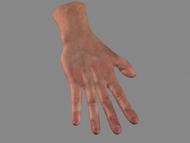 Hand Low-Poly Low-poly 3D model_5