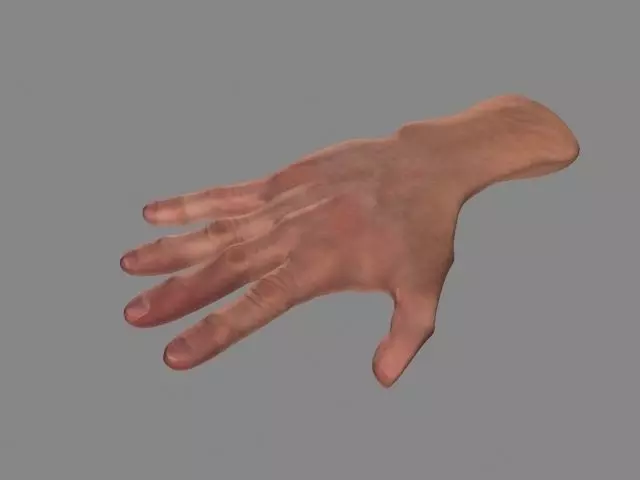 Hand Low-Poly Low-poly 3D model_0