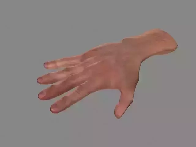 Hand Low-Poly Low-poly 3D model Hand Low-Poly Low-poly 3D model