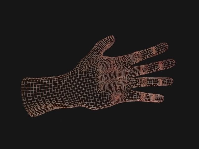 Hand Low-Poly Low-poly 3D model_3