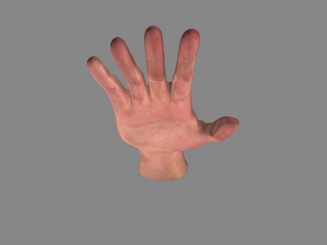 Hand Low-Poly Low-poly 3D model_2