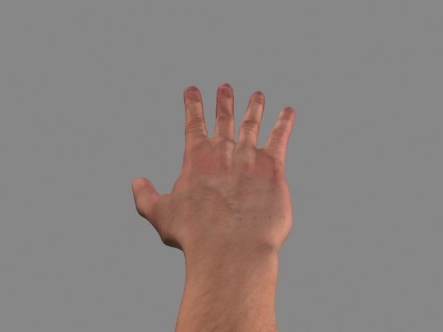 Hand Low-Poly Low-poly 3D model_4