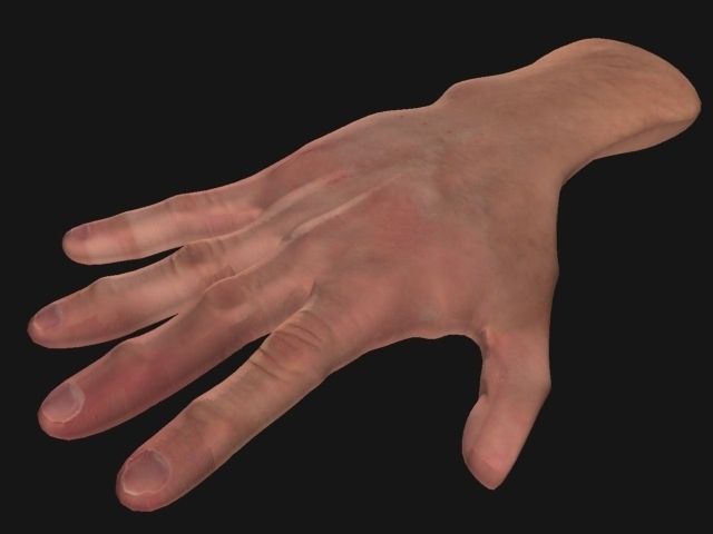Hand Low-Poly Low-poly 3D model_7