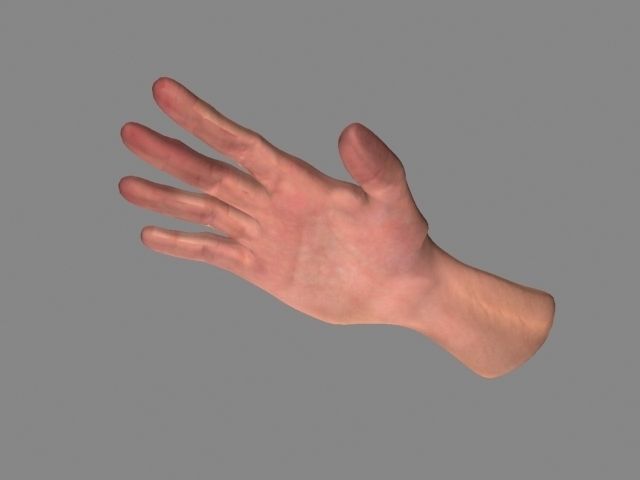 Hand Low-Poly Low-poly 3D model_1