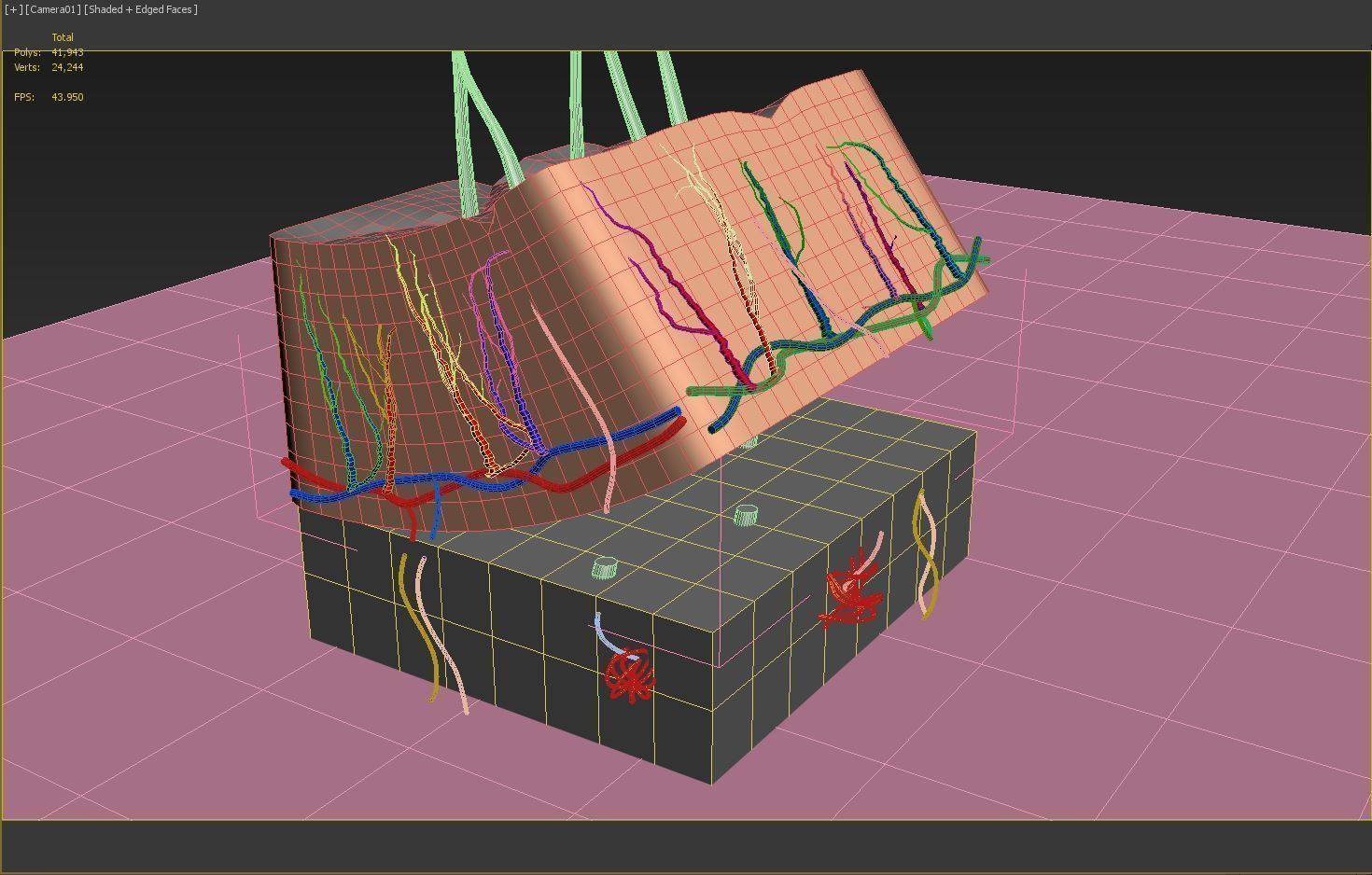 Skin Cross-section 3D model_4