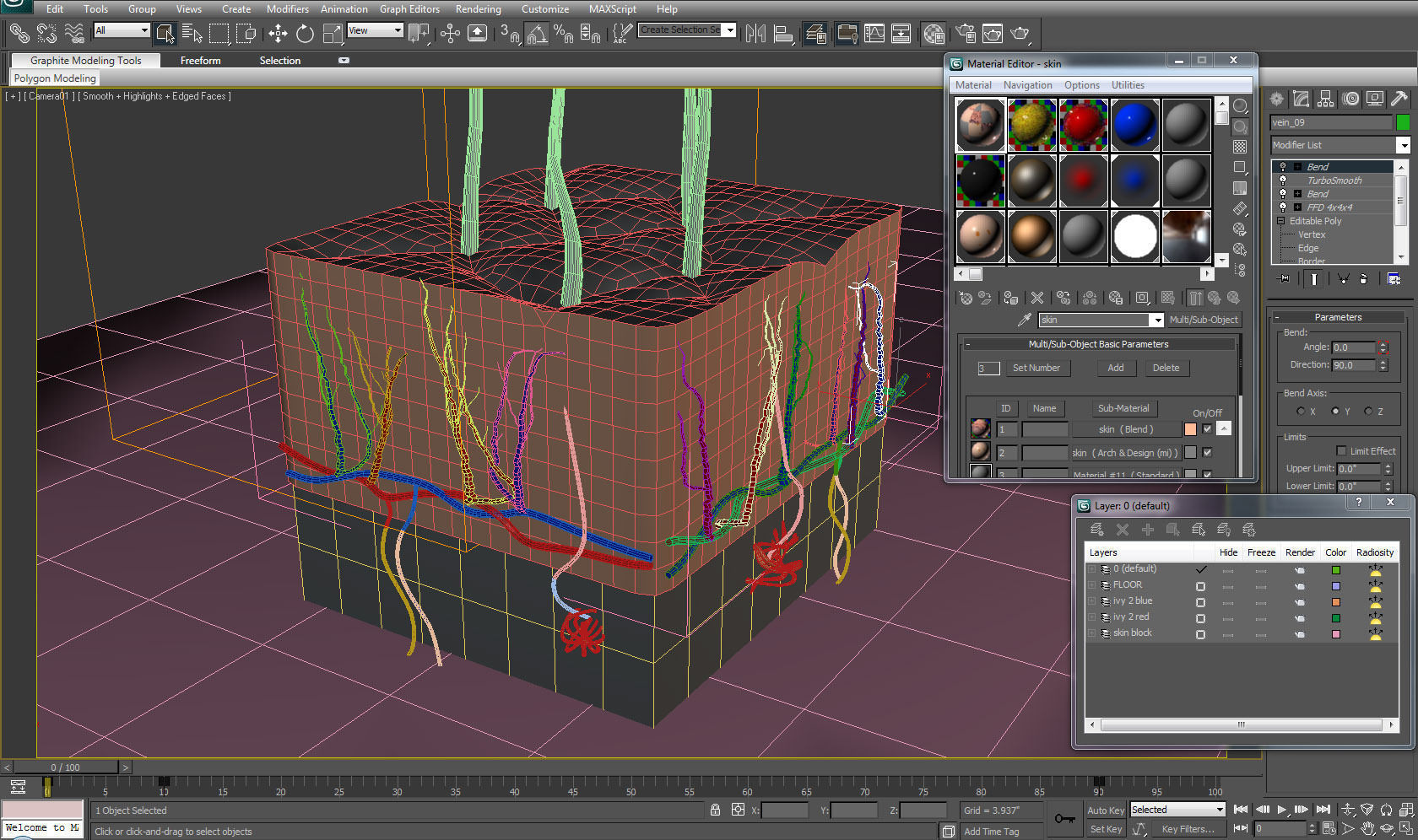 Skin Cross-section 3D model_2