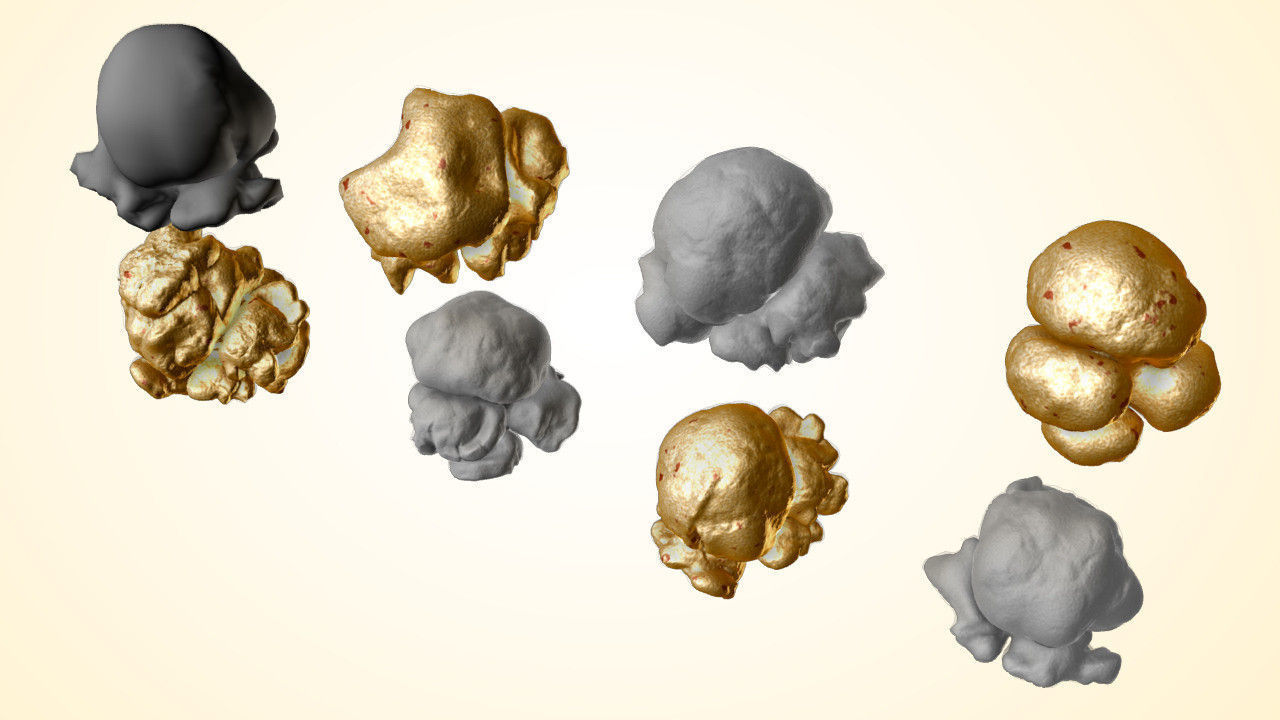 Popcorn Kernels 3D model_2