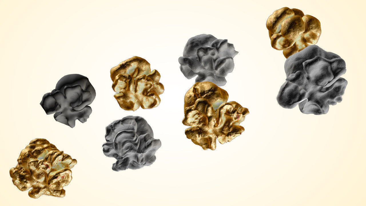 Popcorn Kernels 3D model_3
