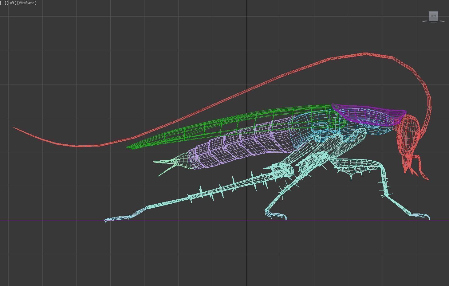 Cockroach beetle on table 3D model_4
