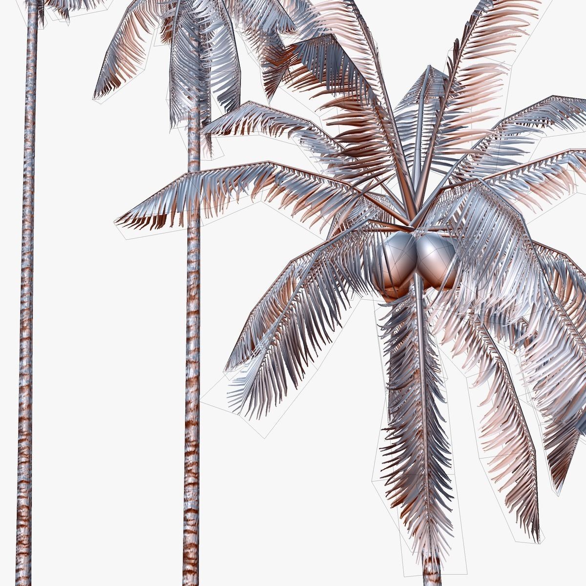 Coconut palm tree 01 - Low Poly Low-poly 3D model_6