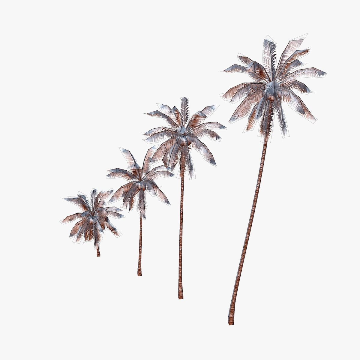 Coconut palm tree 01 - Low Poly Low-poly 3D model_5