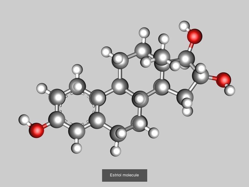 Estrogen or oestrogen molecules 3D Model Collection_3