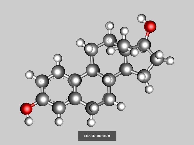 Estrogen or oestrogen molecules 3D Model Collection_1