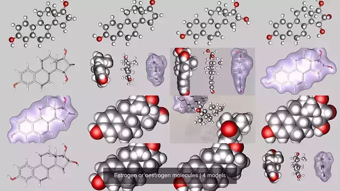Estrogen or oestrogen molecules 3D Model Collection