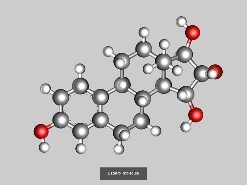 Estrogen or oestrogen molecules 3D Model Collection_4