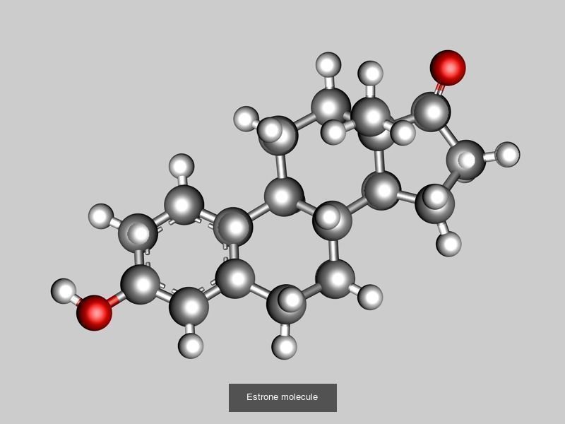 Estrogen or oestrogen molecules 3D Model Collection_2