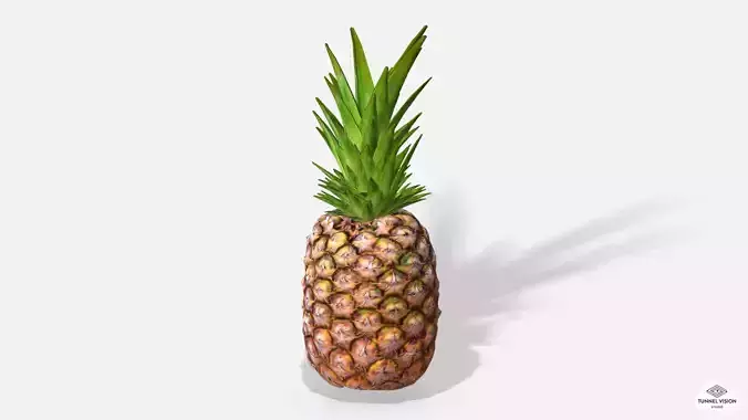 Exotic Fruit Pineapple - Photoscanned PBR Low-poly 3D model