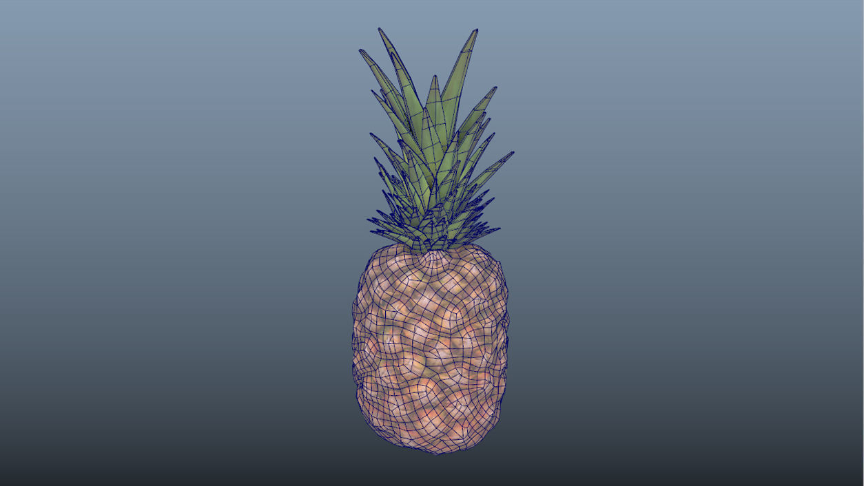 Exotic Fruit Pineapple - Photoscanned PBR Low-poly 3D model_8