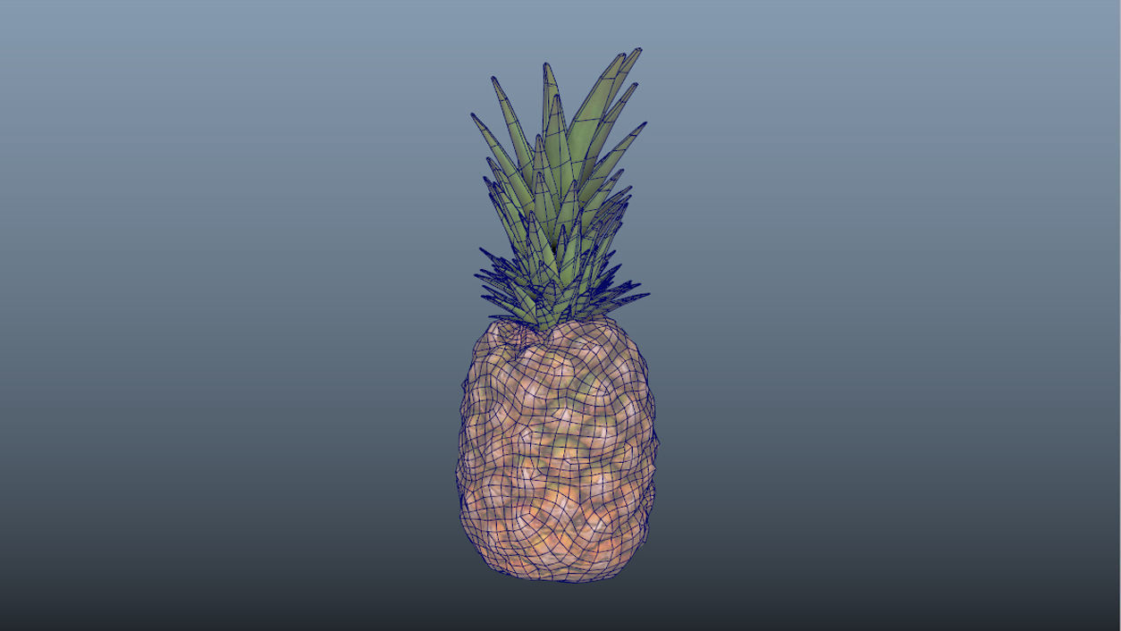 Exotic Fruit Pineapple - Photoscanned PBR Low-poly 3D model_9
