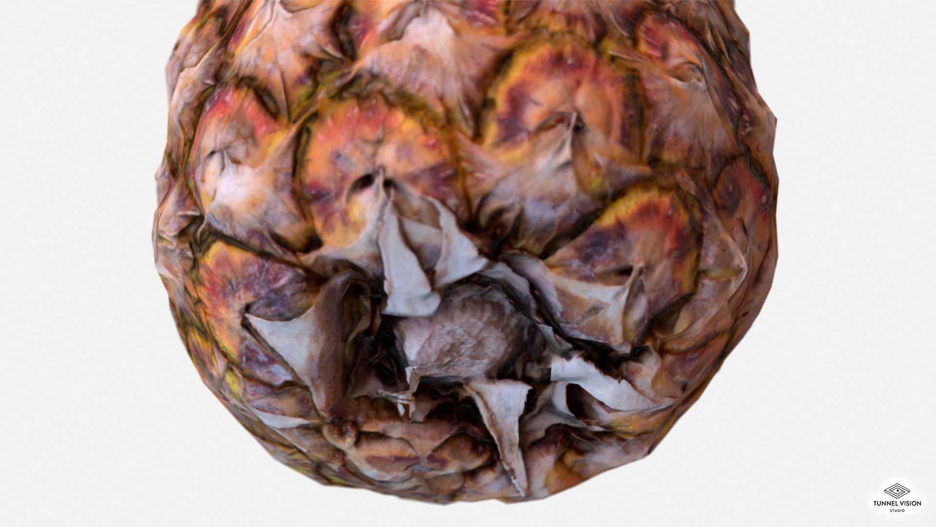 Exotic Fruit Pineapple - Photoscanned PBR Low-poly 3D model_6