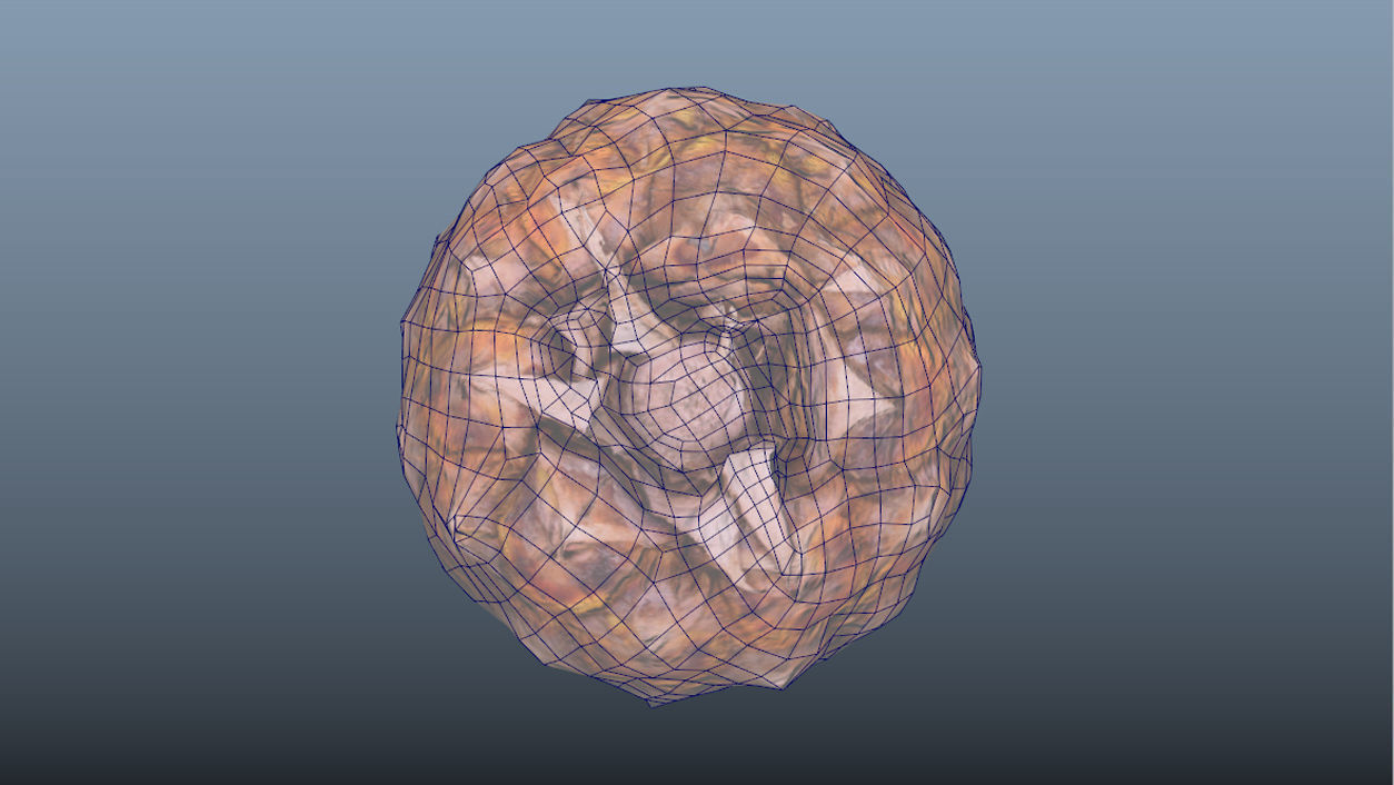 Exotic Fruit Pineapple - Photoscanned PBR Low-poly 3D model_10