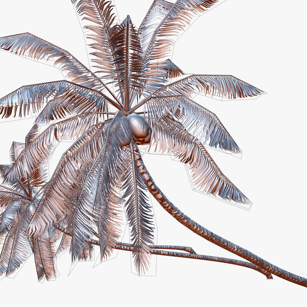 Coconut palm tree 02 - Low Poly Low-poly 3D model_7